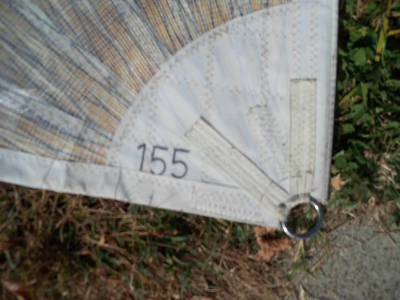 Used Mylar Genoa # 1534