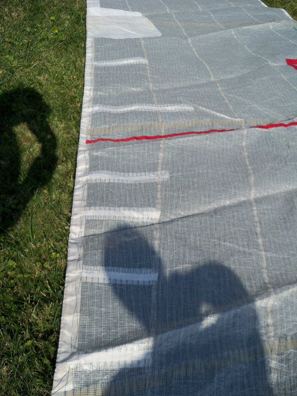 Used Mylar Genoa # 1534